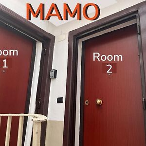 Mamo1 - Appartamento In Pieno Centro Citta